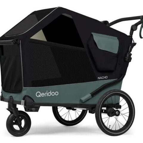 Qeridoo Nacho L Green